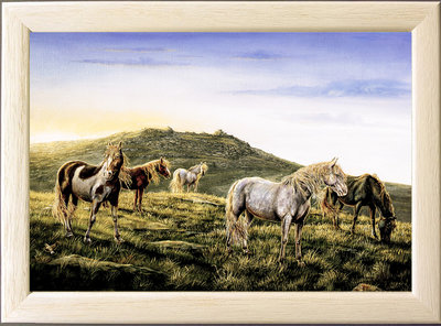 Image of Dawn Light, Ponies on Roughtor, Bodmin Moor, Cornwall